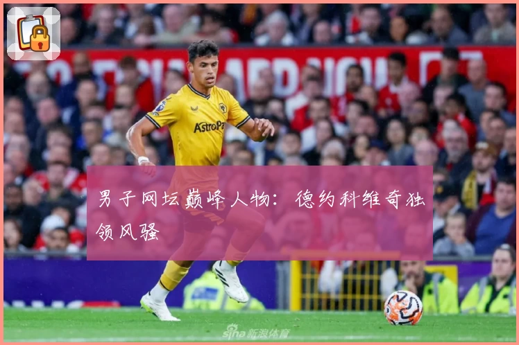 男子网坛巅峰人物：德约科维奇独领风骚