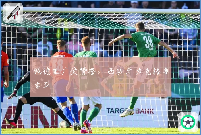 佩德里广受赞誉，西班牙力克格鲁吉亚