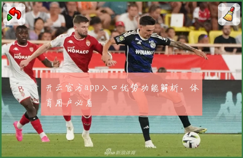 开云官方app入口优势功能解析，体育用户必看