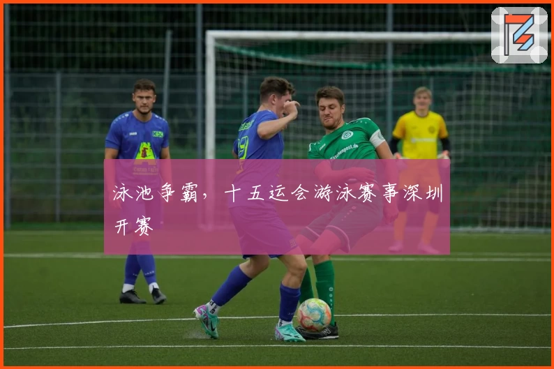 泳池争霸，十五运会游泳赛事深圳开赛