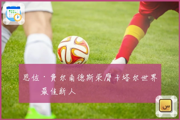 恩佐·费尔南德斯荣膺卡塔尔世界杯最佳新人