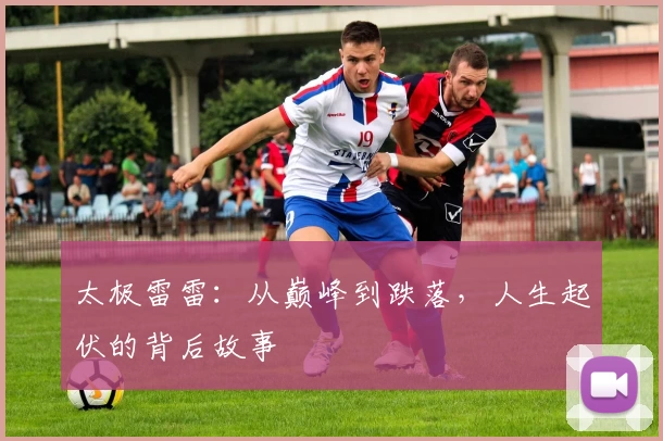 太极雷雷：从巅峰到跌落，人生起伏的背后故事