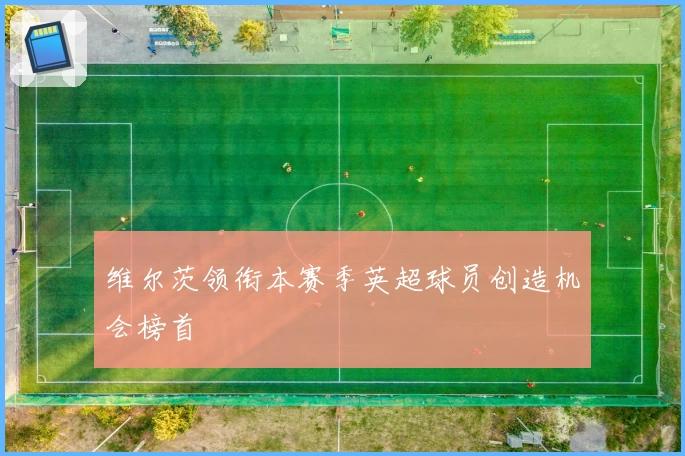 维尔茨领衔本赛季英超球员创造机会榜首