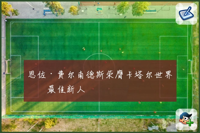 恩佐·费尔南德斯荣膺卡塔尔世界杯最佳新人